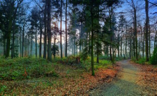 Unterwegs im Wellengarten