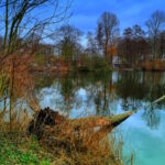 Tour 1416 – Geldern – Einmal um den Holländer See