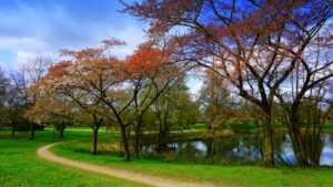 Mehr über den Artikel erfahren Tour 1417 – Geldern – Wandelweg Variante 2