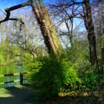 Tour 1419 – Oberhausen – STOAG Trassenspaziergang 2