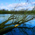 Tour 1424 – Geldern – Wandelweg Variante 1 plus