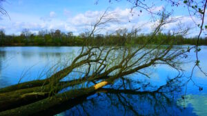 Mehr über den Artikel erfahren Tour 1424 – Geldern – Wandelweg Variante 1 plus