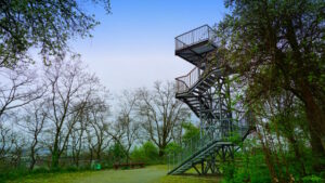 Mehr über den Artikel erfahren Tour 1425 – Oberhausen – STOAG Trassenspaziergang 9