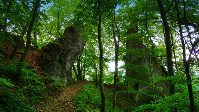 Mehr über den Artikel erfahren Tour 1430 – Albstadt-Ebingen -Traufgängerle Hexenküche