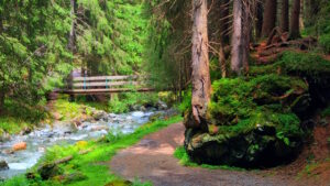 Mehr über den Artikel erfahren Tour 1437 – Österreich – Saalbach-Hinterglemm – Hinauf zur Osmannalm