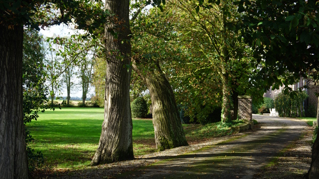 Niederrheinidylle