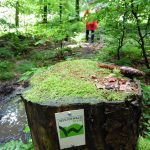 Die #Bloggerwanderung auf dem Westerwaldsteig – Tag 2