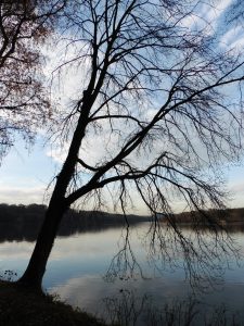 Baldeneysee #RBRuhr