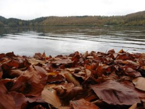 Mehr über den Artikel erfahren Bloggerwanderung – Ferienregion Pulvermaar 2/3