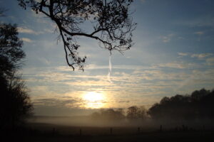 Mehr über den Artikel erfahren Auf dem Niederrheinweg durch die Genussregion Niederrhein – Teil 1