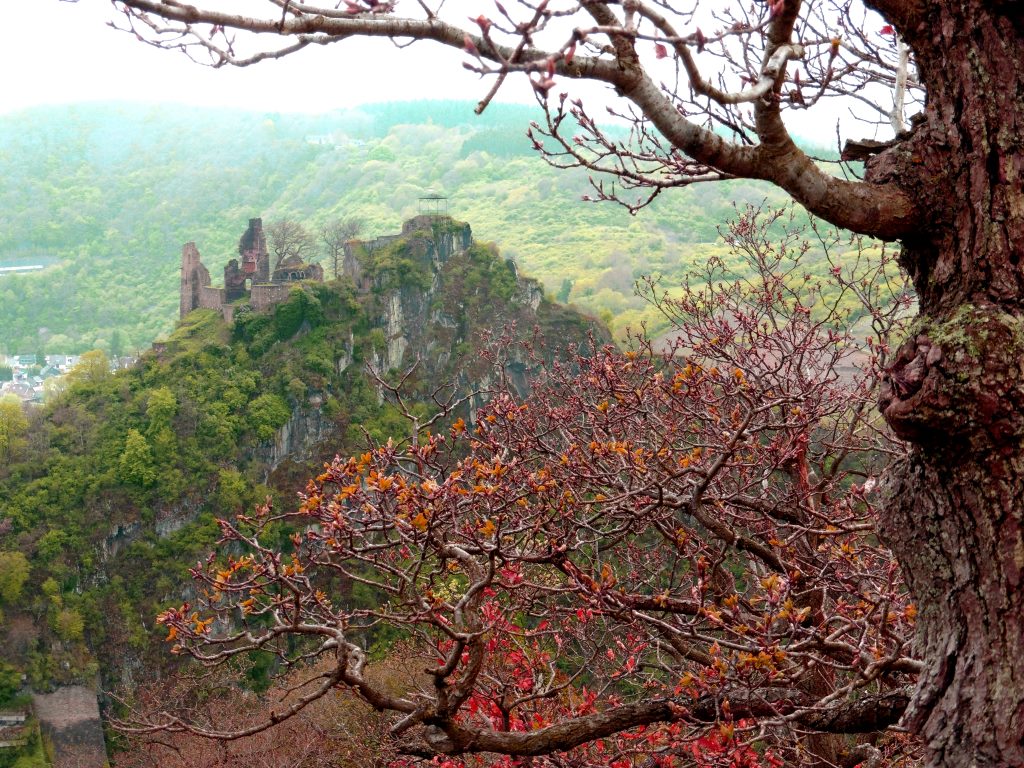 Ausblick auf Burg Are am AhrSteig