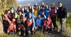 Mehr über den Artikel erfahren Bloggerwandern Rheinland-Pfalz „Moselsteig Wünschelrouten“ (1/3)