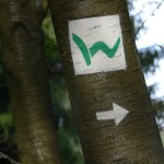 Bloggerwandern im Westerwald