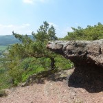 Blick über Stock und Stein