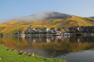Mehr über den Artikel erfahren 4. Bloggerwandern Rheinland-Pfalz an der Mosel