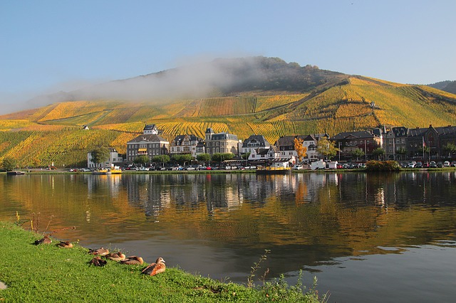 Herbst an der Mosel - Guenther Dillingen -