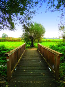 Holzbrücke über den Plankendickskendel. Im Hintergrund eine Kopfweide und Felder. 