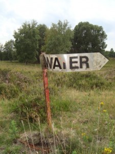 Mehr über den Artikel erfahren Tour 23 – Brüggen – Brachter Wald